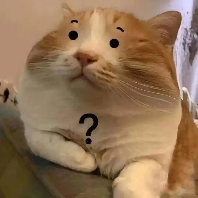 ảnh Meme Cute 11