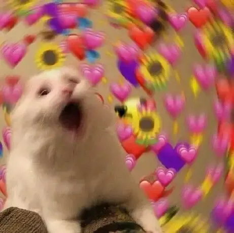 ảnh Meme Cute 12