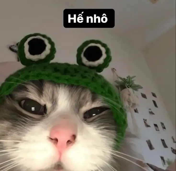 ảnh Meme Cute 20