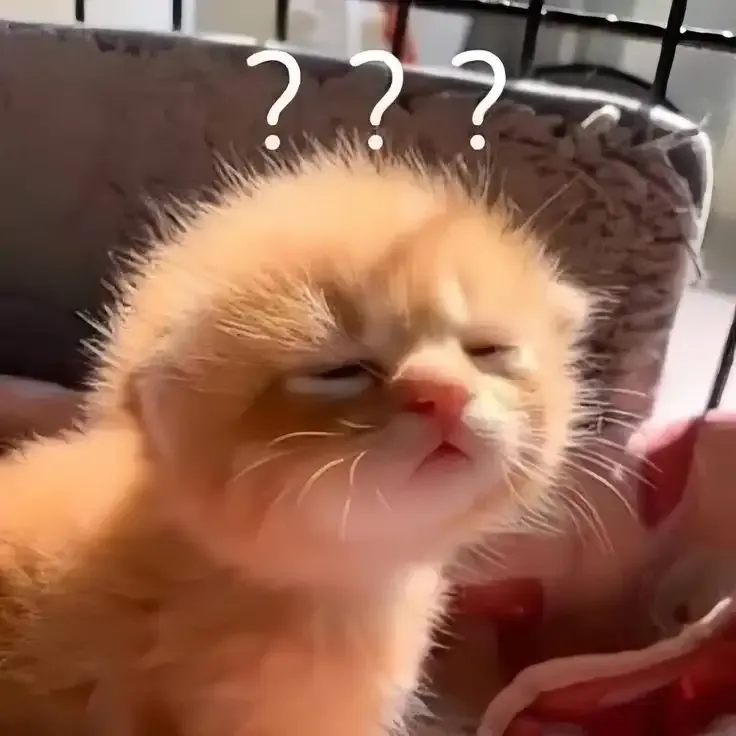 ảnh Meme Cute 21