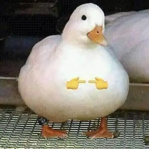 ảnh Meme Cute 22