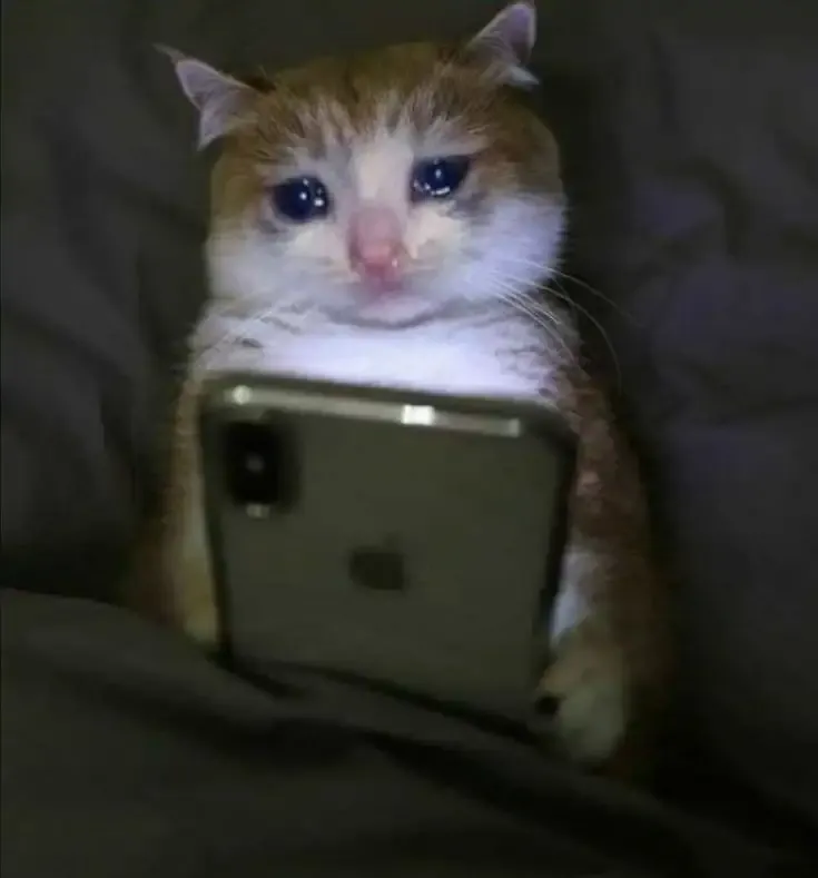 ảnh Meme Cute 24