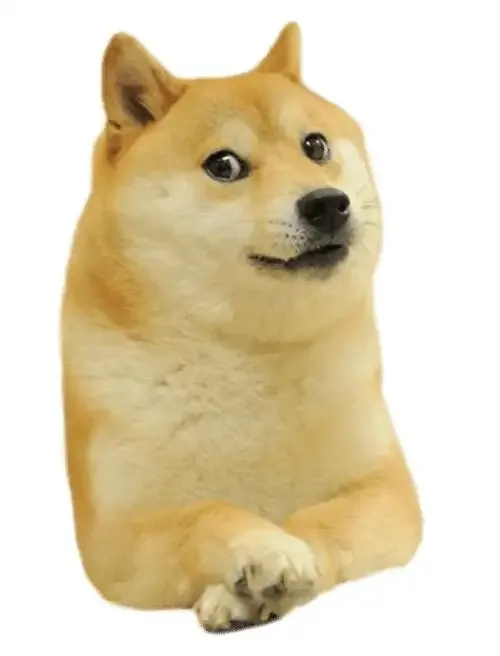 ảnh Meme dog 13