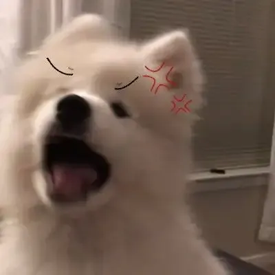 ảnh Meme dog 34