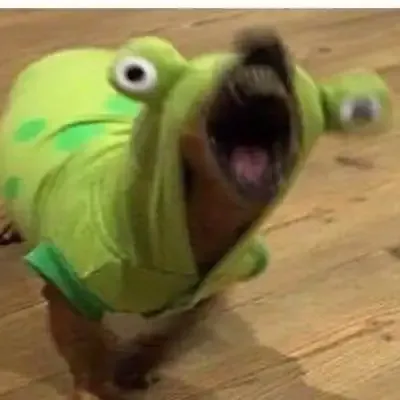 ảnh Meme dog 22