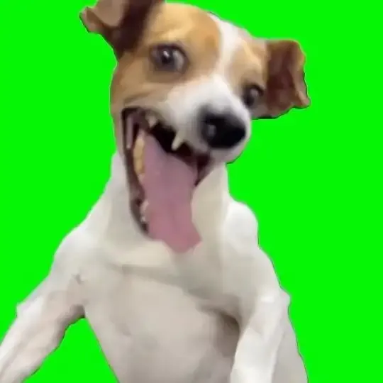 ảnh Meme dog 25