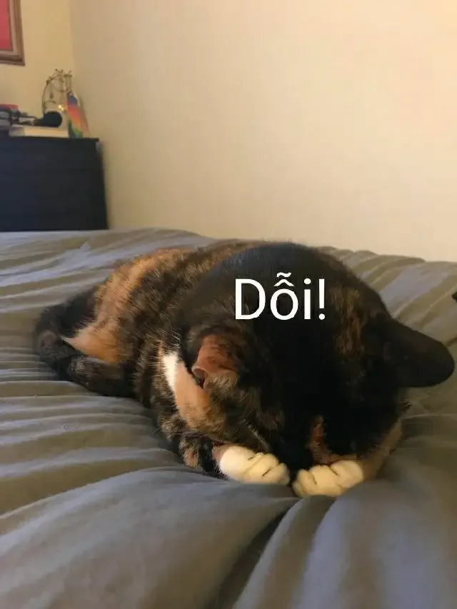  ảnh meme dỗi 2