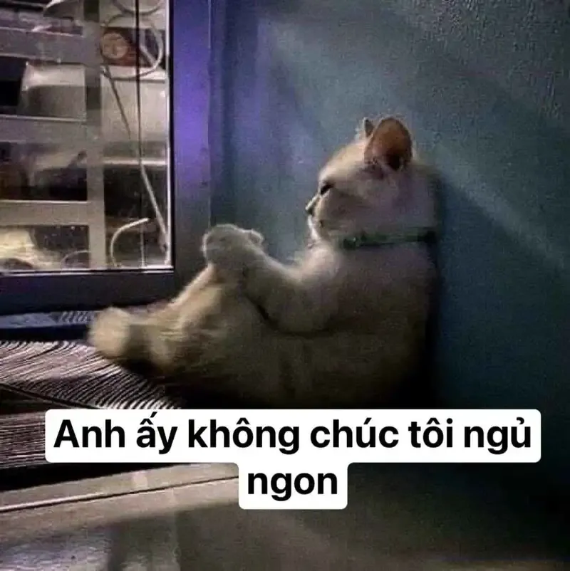  ảnh meme dỗi 3