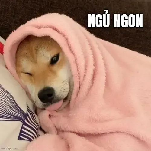  ảnh meme dỗi 27