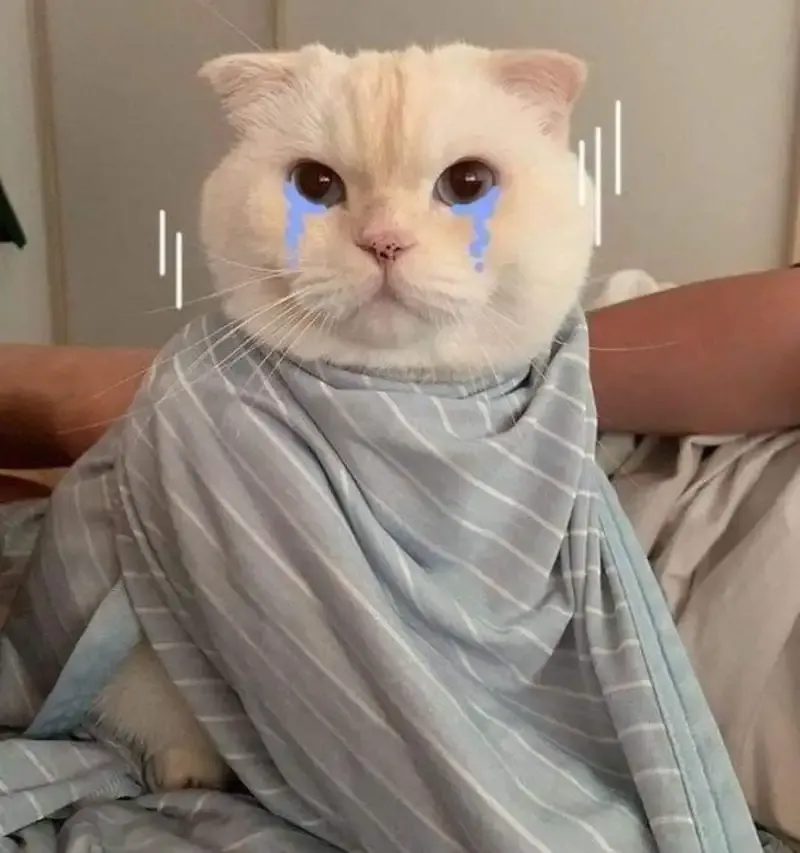  ảnh meme dỗi 12
