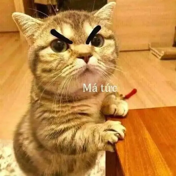  ảnh meme dỗi 14