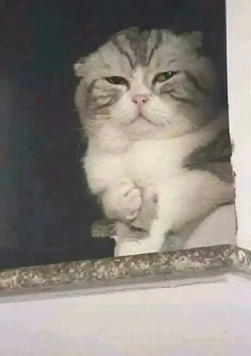  ảnh meme dỗi 15