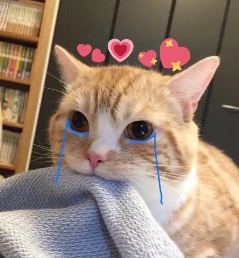  ảnh meme dỗi 16
