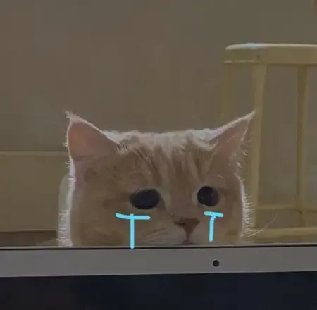  ảnh meme dỗi 23