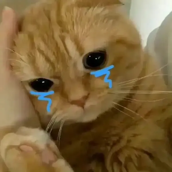  ảnh meme dỗi 24