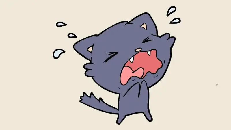  ảnh meme dỗi 26