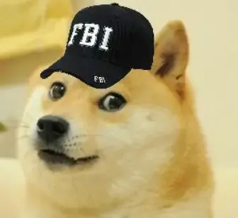  ảnh meme fbi 16