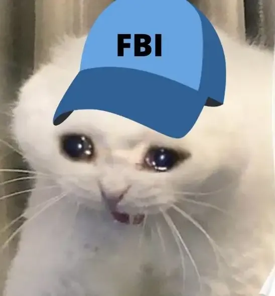  ảnh meme fbi 10