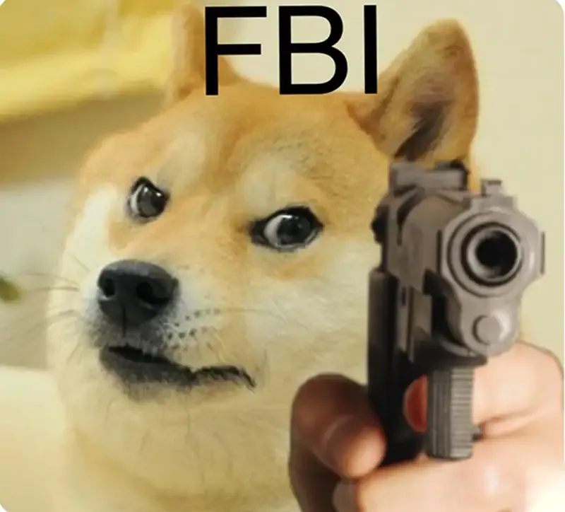  ảnh meme fbi 12