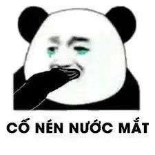 tập ảnh meme gấu 2