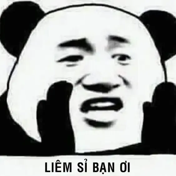 tập ảnh meme gấu 3