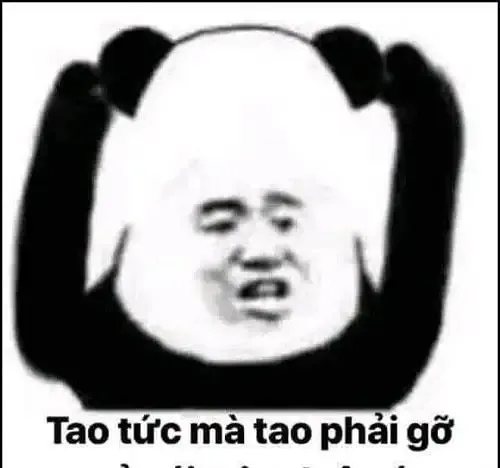 tập ảnh meme gấu 4