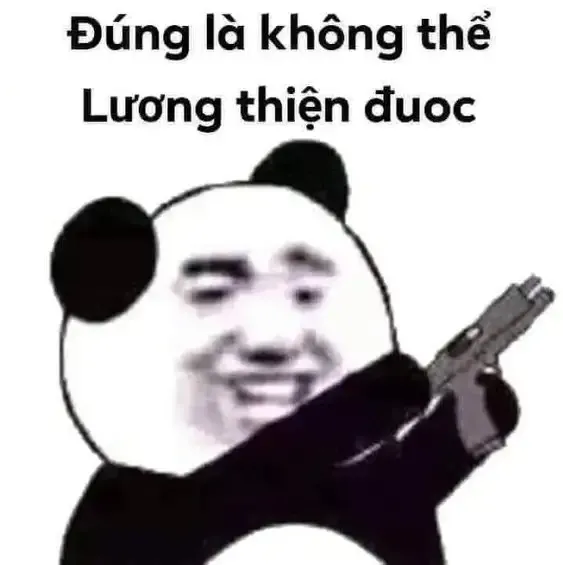 tập ảnh meme gấu 5