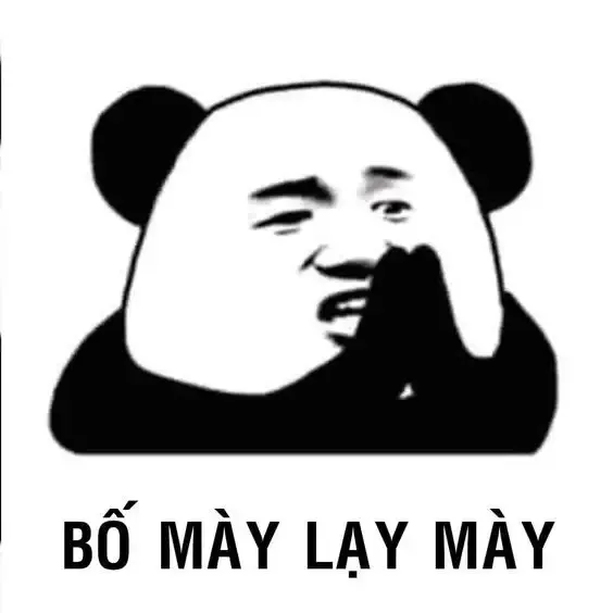 tập ảnh meme gấu 6