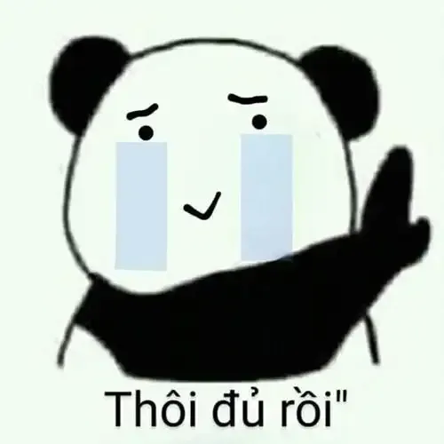 tập ảnh meme gấu 26