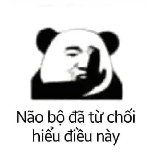 tập ảnh meme gấu 11
