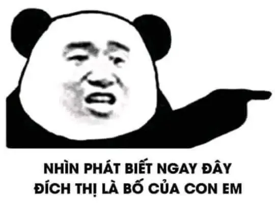 tập ảnh meme gấu 13