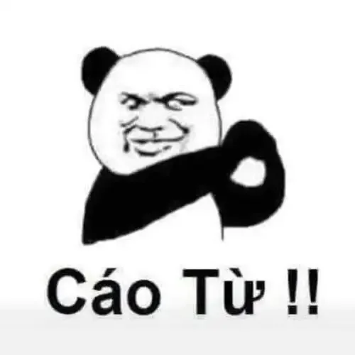 tập ảnh meme gấu 14