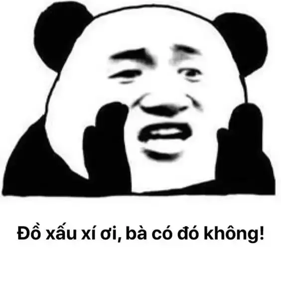 tập ảnh meme gấu 28