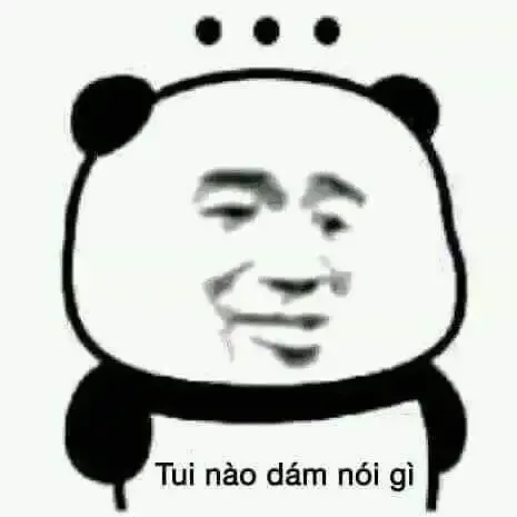 tập ảnh meme gấu 29