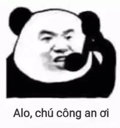 tập ảnh meme gấu 17