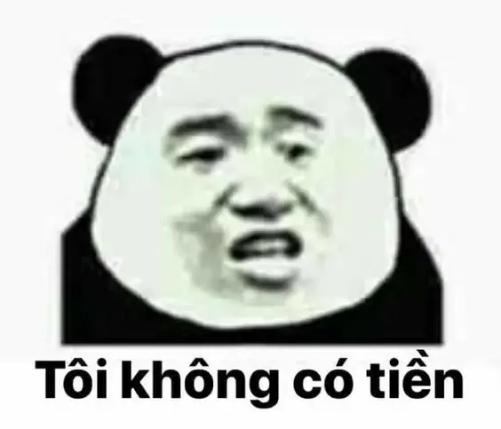 tập ảnh meme gấu 30