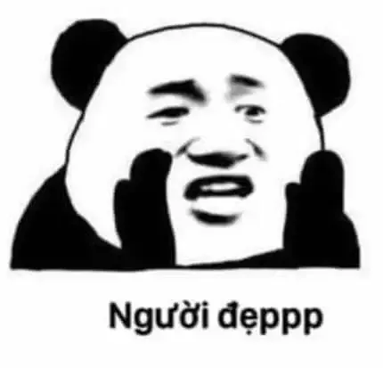 tập ảnh meme gấu 31