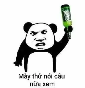 tập ảnh meme gấu 23
