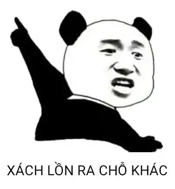 tập ảnh meme gấu 24