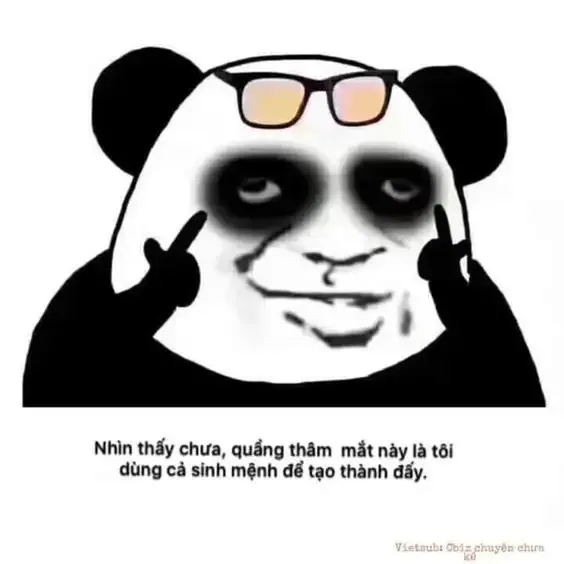 tập ảnh meme gấu 25