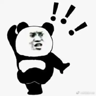tập ảnh meme gấu 33