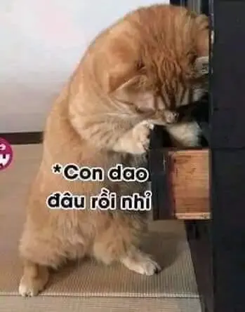 ảnh Meme hài 2
