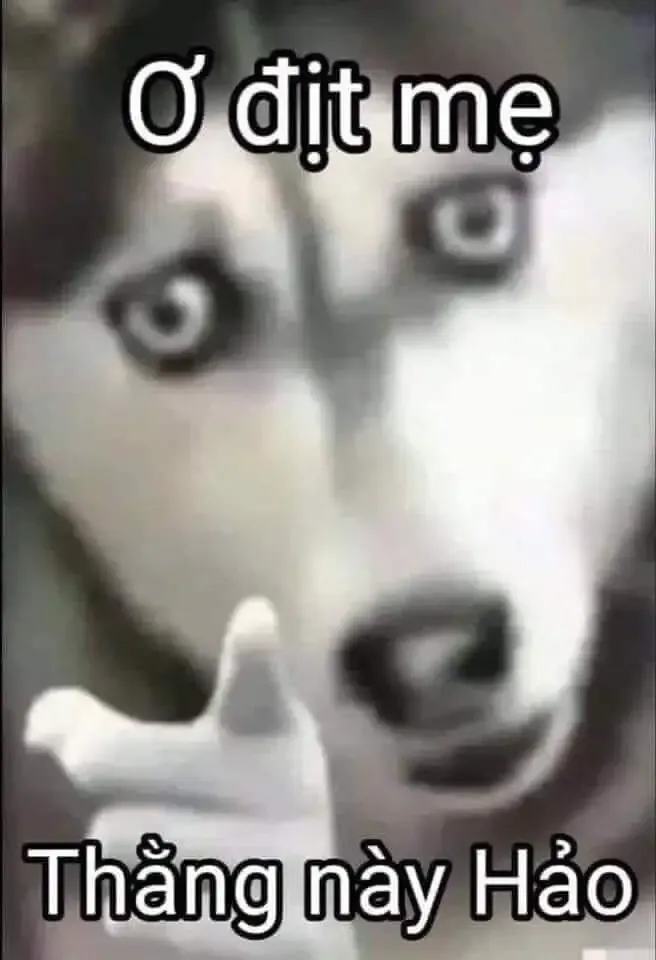 ảnh Meme hài 3