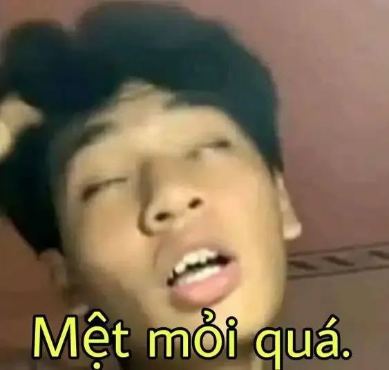 ảnh Meme hài 24