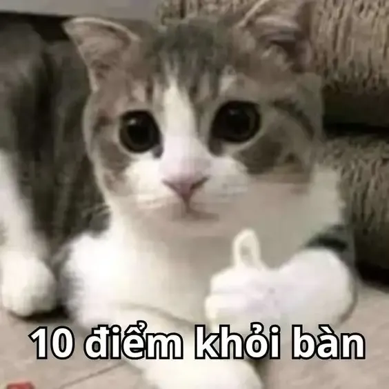 ảnh Meme hài 13