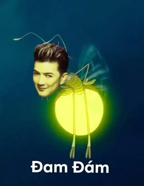 ảnh Meme hài 15