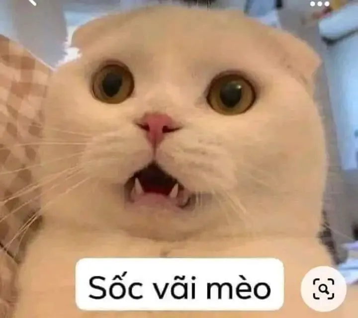 ảnh Meme hài 43