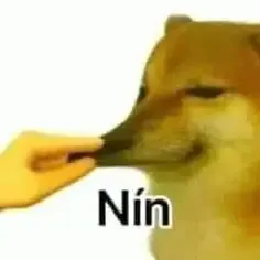 ảnh Meme hài 17