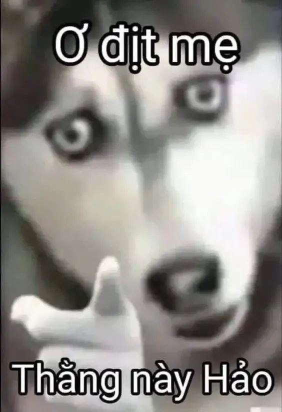 ảnh meme làm hình nền 2
