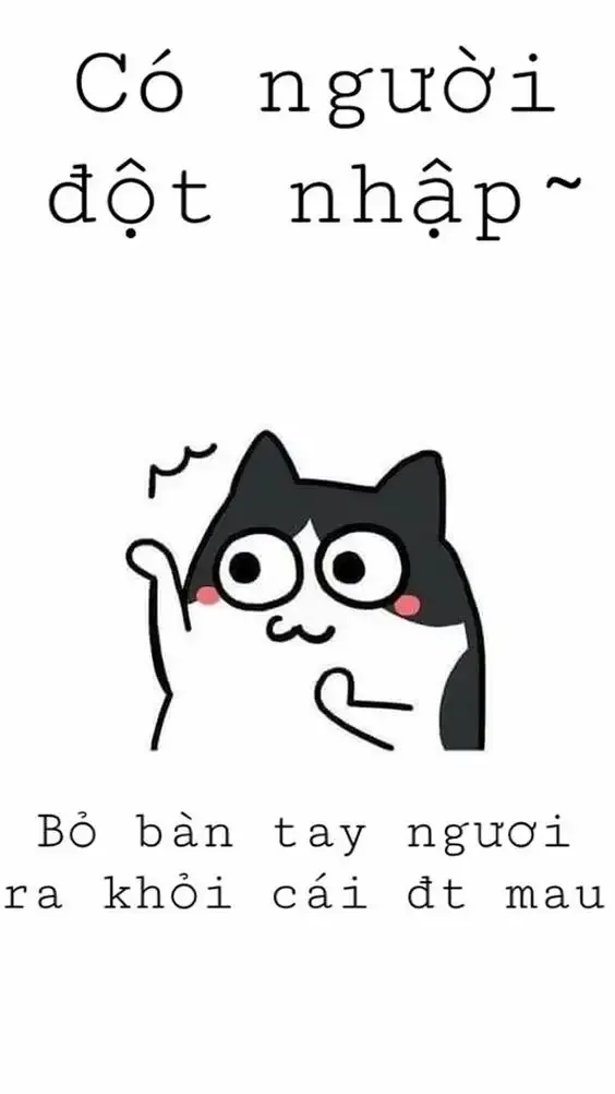 ảnh meme làm hình nền 3